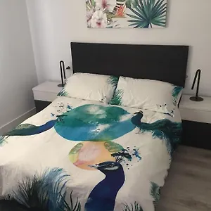 https://apartamento-ciudad-lineal-reciente-reforma.besthotelstoledo.com